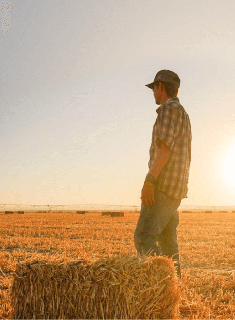 Man in a hay field at sunset